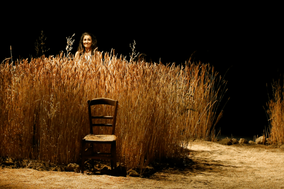 Miroirs romancés d’une journée familiale